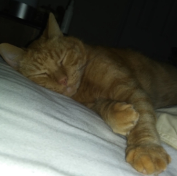 Meet your Posher, Leigh anne - Picture 2 of 2